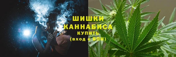 индика Санкт-Петербург