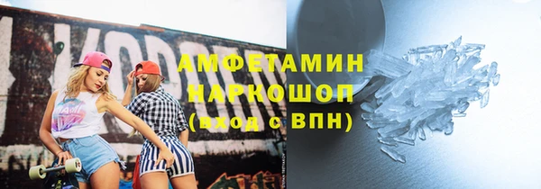 индика Санкт-Петербург