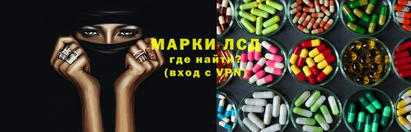 спиды Ессентукская