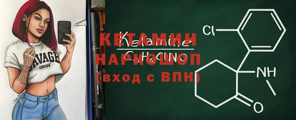 индика Санкт-Петербург