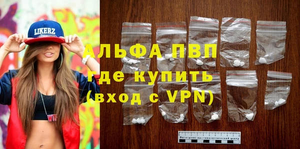 индика Санкт-Петербург