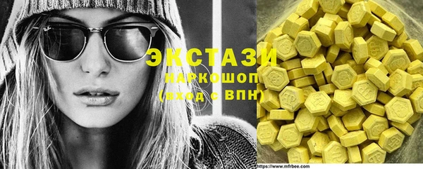 индика Санкт-Петербург