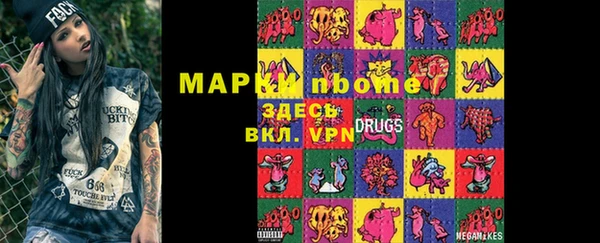индика Санкт-Петербург