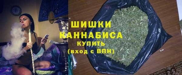 спиды Ессентукская