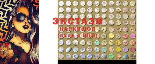 индика Санкт-Петербург