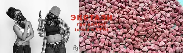 индика Санкт-Петербург