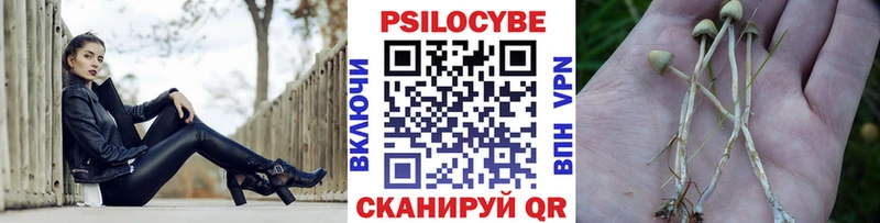 Псилоцибиновые грибы прущие грибы  даркнет сайт  Александров 