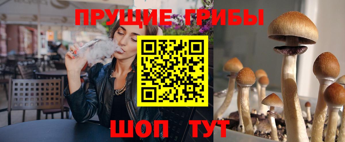 Псилоцибиновые грибы Cubensis Александров