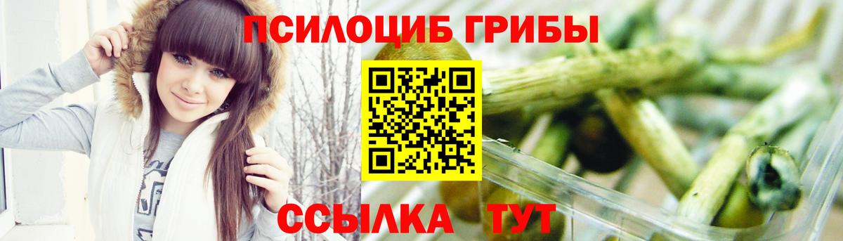 Псилоцибиновые грибы GOLDEN TEACHER  Александров 