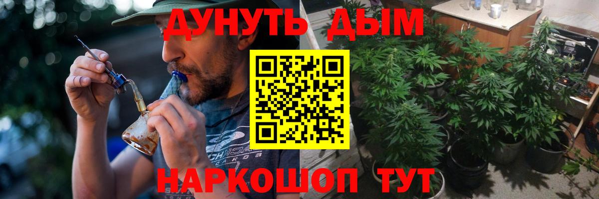 Каннабис марихуана Александров